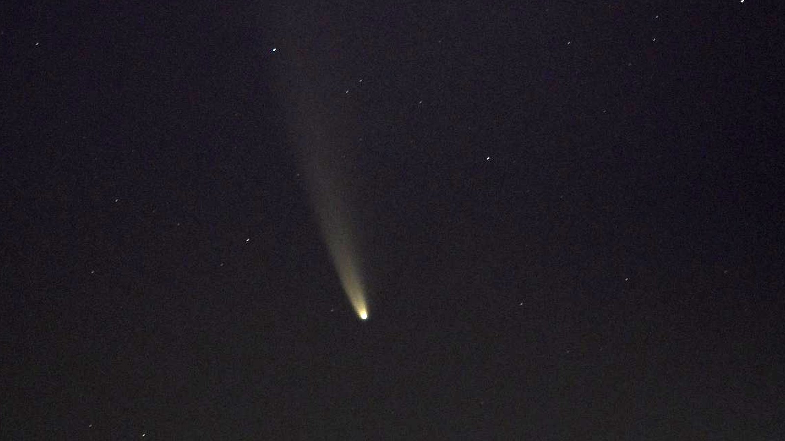 Comet NEOWISE low in a dark sky, a bright head with a long pale tail rising away from it.