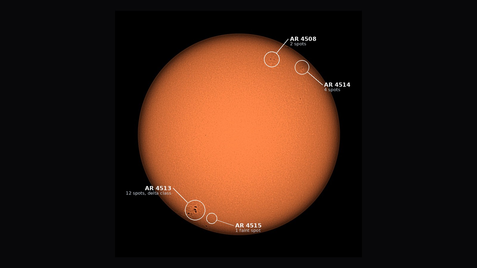 The Sun photographed through a solar filter, with four sunspot groups circled and labelled with their NOAA region numbers.