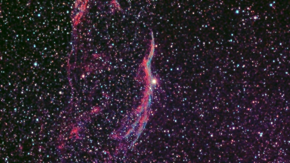 The Western Veil Nebula, a long curved rope of red and blue filaments running through a dense field of stars.